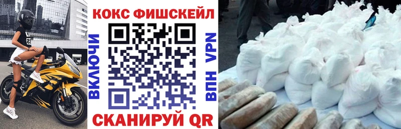 где купить наркотик  ОМГ ОМГ ссылка  Cocaine Fish Scale  Алексеевка 