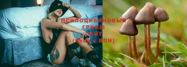 СК Абаза