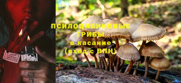 СК Абаза