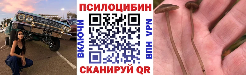 Галлюциногенные грибы GOLDEN TEACHER  MEGA ссылки  Алексеевка 